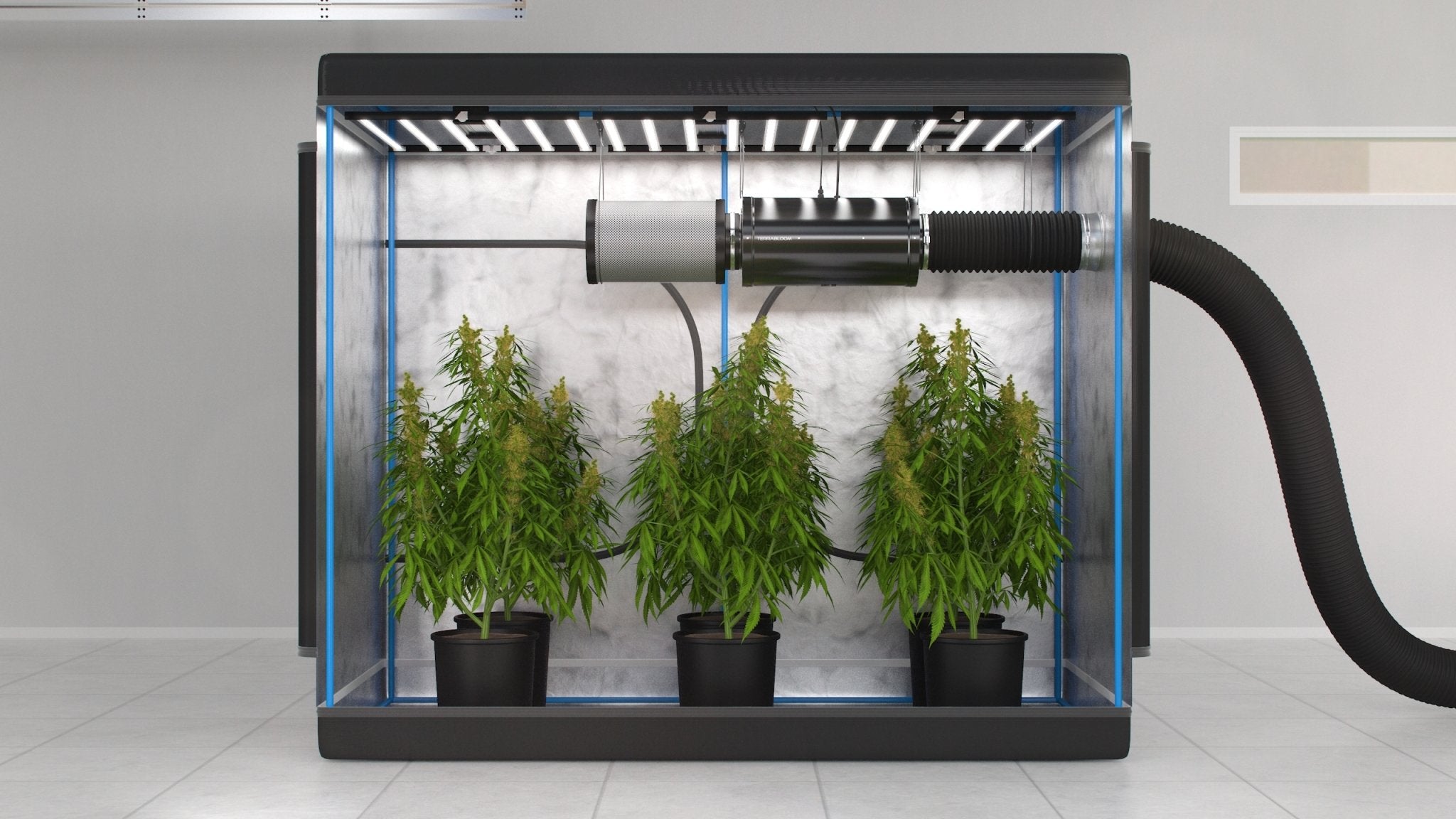 hydroponic grow tent