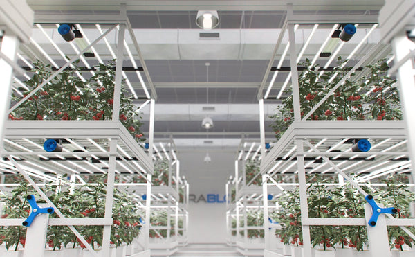 Why TerraBloom EC Fans Are Perfect For Vertical Farms - TerraBloom